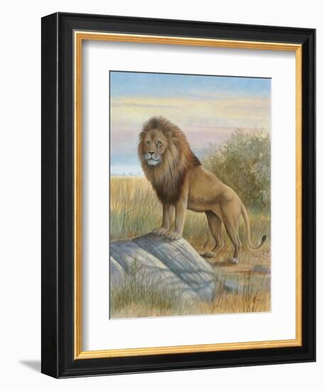 Lion-Ron Jenkins-Framed Art Print