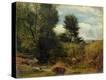 Stretched Canvas Print