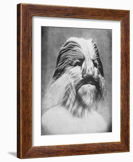 Lionel the Lion-Faced Man-null-Framed Art Print