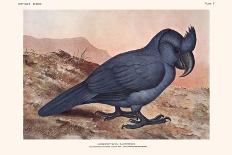 Didus Solitarius Dodo-Lionel Walter Rothschild-Framed Art Print