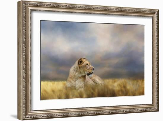 Lioness after the Storm-Jai Johnson-Framed Giclee Print