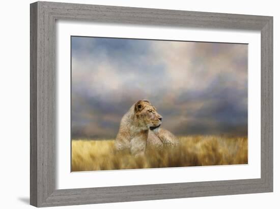 Lioness after the Storm-Jai Johnson-Framed Giclee Print