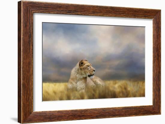 Lioness after the Storm-Jai Johnson-Framed Giclee Print