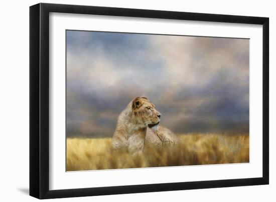 Lioness after the Storm-Jai Johnson-Framed Giclee Print