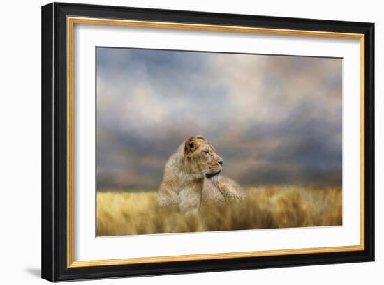 Lioness after the Storm-Jai Johnson-Framed Giclee Print