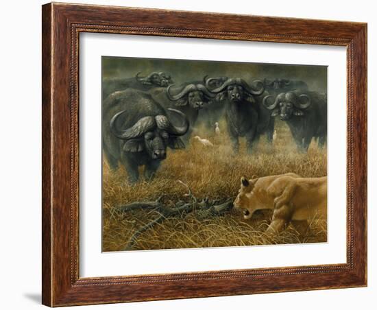 Lioness and Cape Buffalos-Harro Maass-Framed Giclee Print