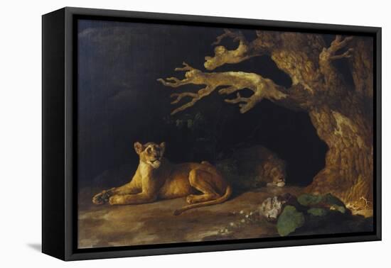 Lioness and Cave-George Stubbs-Framed Premier Image Canvas