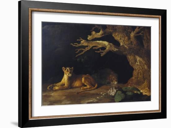 Lioness and Cave-George Stubbs-Framed Giclee Print