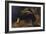 Lioness and Cave-George Stubbs-Framed Giclee Print