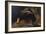 Lioness and Cave-George Stubbs-Framed Giclee Print