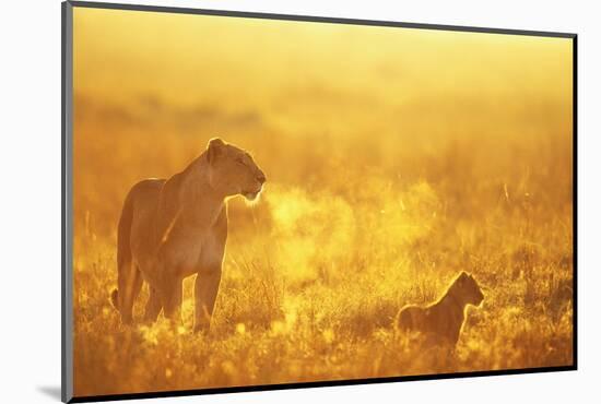 Photographic Print, , large