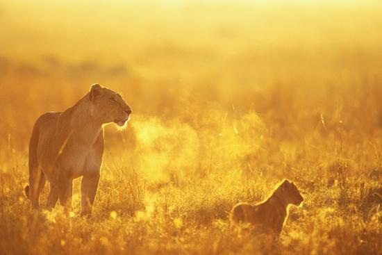 Photographic Print, , large