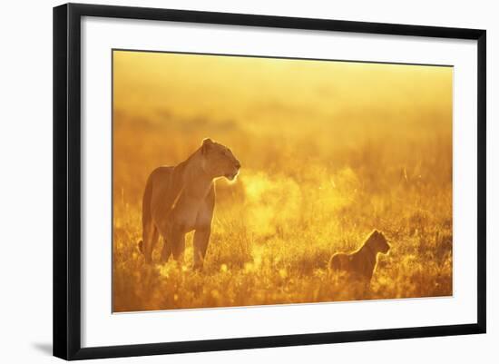 Photographic Print, , large