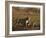 Lioness and Cubs, Busanga Plains, Kafue National Park, Zambia, Africa-Sergio Pitamitz-Framed Photographic Print