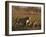 Lioness and Cubs, Busanga Plains, Kafue National Park, Zambia, Africa-Sergio Pitamitz-Framed Photographic Print