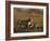 Lioness and Cubs, Busanga Plains, Kafue National Park, Zambia, Africa-Sergio Pitamitz-Framed Photographic Print