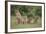 Lioness and Cubs in Grass-DLILLC-Framed Photographic Print