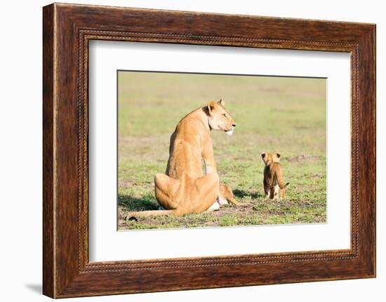 Lioness and cubs, Masai Mara, Kenya, East Africa, Africa-Karen Deakin-Framed Photographic Print