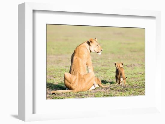 Lioness and cubs, Masai Mara, Kenya, East Africa, Africa-Karen Deakin-Framed Photographic Print