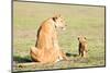 Lioness and cubs, Masai Mara, Kenya, East Africa, Africa-Karen Deakin-Mounted Photographic Print