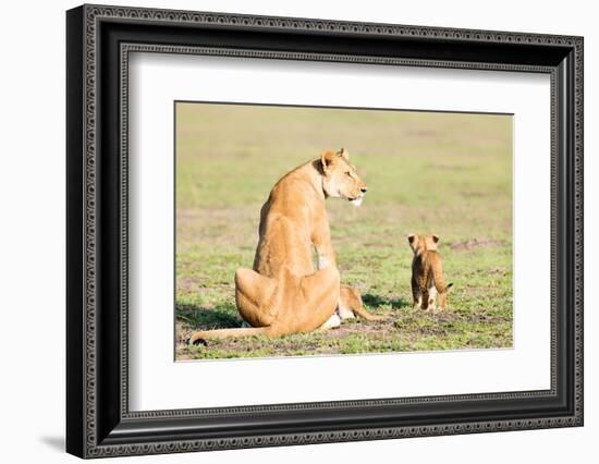 Lioness and cubs, Masai Mara, Kenya, East Africa, Africa-Karen Deakin-Framed Photographic Print