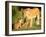 Lioness and cubs, Masai Mara, Kenya, East Africa, Africa-Karen Deakin-Framed Photographic Print