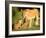 Lioness and cubs, Masai Mara, Kenya, East Africa, Africa-Karen Deakin-Framed Photographic Print