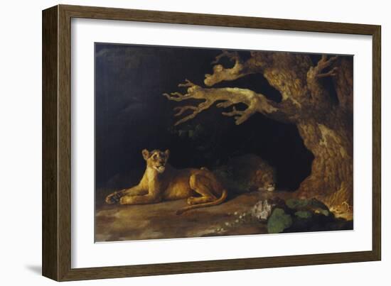 Lioness and Lion in a Cave-George Stubbs-Framed Giclee Print