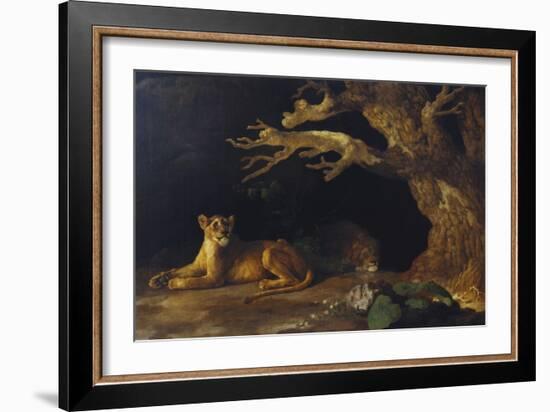 Lioness and Lion in a Cave-George Stubbs-Framed Giclee Print