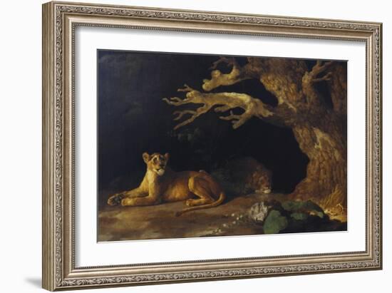 Lioness and Lion in a Cave-George Stubbs-Framed Giclee Print