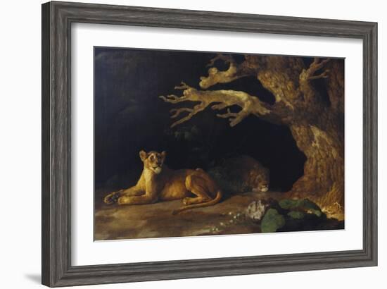 Lioness and Lion in a Cave-George Stubbs-Framed Giclee Print