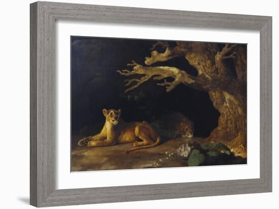 Lioness and Lion in a Cave-George Stubbs-Framed Giclee Print