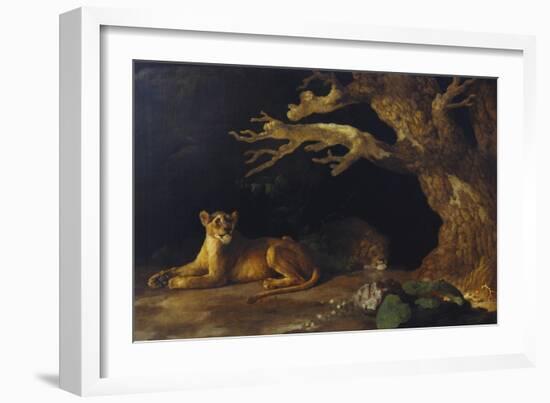 Lioness and Lion in a Cave-George Stubbs-Framed Giclee Print
