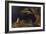 Lioness and Lion in a Cave-George Stubbs-Framed Giclee Print