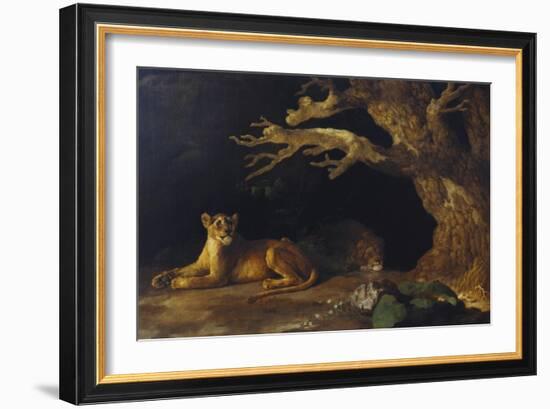 Lioness and Lion in a Cave-George Stubbs-Framed Giclee Print