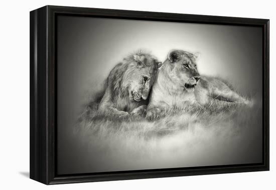 Lioness and Son Sitting and Nuzzling in Botswana Grassland, Africa-Sheila Haddad-Framed Premier Image Canvas