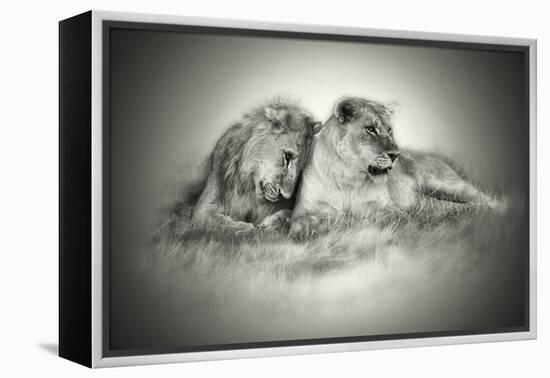 Lioness and Son Sitting and Nuzzling in Botswana Grassland, Africa-Sheila Haddad-Framed Premier Image Canvas