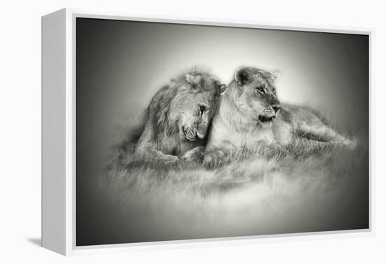 Lioness and Son Sitting and Nuzzling in Botswana Grassland, Africa-Sheila Haddad-Framed Premier Image Canvas