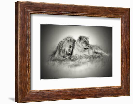 Lioness and Son Sitting and Nuzzling in Botswana Grassland, Africa-Sheila Haddad-Framed Photographic Print