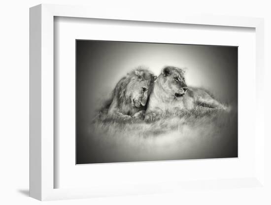 Lioness and Son Sitting and Nuzzling in Botswana Grassland, Africa-Sheila Haddad-Framed Photographic Print