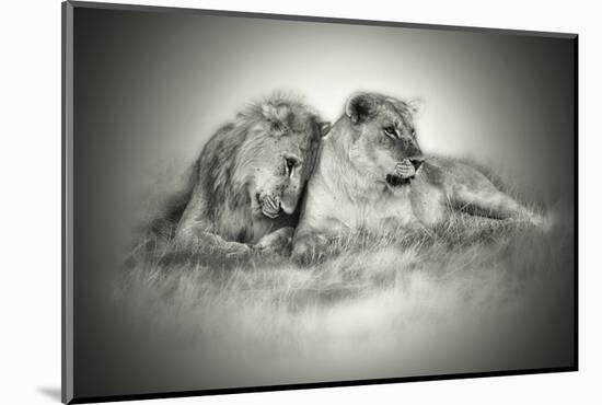 Lioness and Son Sitting and Nuzzling in Botswana Grassland, Africa-Sheila Haddad-Mounted Photographic Print