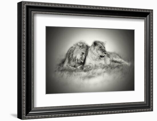 Lioness and Son Sitting and Nuzzling in Botswana Grassland, Africa-Sheila Haddad-Framed Photographic Print