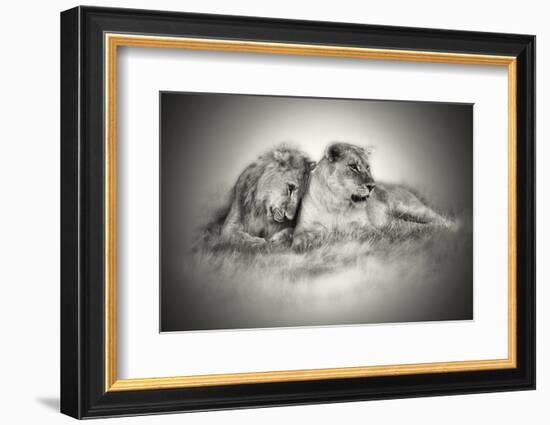 Lioness and Son Sitting and Nuzzling in Botswana Grassland, Africa-Sheila Haddad-Framed Photographic Print