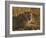 Lioness, Busanga Plains, Kafue National Park, Zambia, Africa-Sergio Pitamitz-Framed Photographic Print