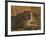 Lioness, Busanga Plains, Kafue National Park, Zambia, Africa-Sergio Pitamitz-Framed Photographic Print