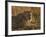 Lioness, Busanga Plains, Kafue National Park, Zambia, Africa-Sergio Pitamitz-Framed Photographic Print