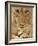 Lioness Eating a Turtle-Joe McDonald-Framed Photographic Print