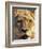 Lioness, Masai Mara Game Reserve, Kenya-Adam Jones-Framed Photographic Print