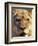 Lioness, Masai Mara Game Reserve, Kenya-Adam Jones-Framed Photographic Print