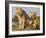 Lioness on the Look Out Full Bleed-Martin Fowkes-Framed Giclee Print